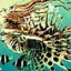 shanoar